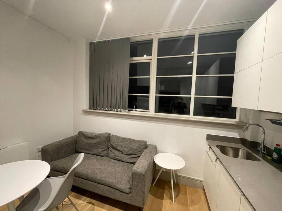 Monthly Stays 1Bed Serviced Studio Apartment Free Wifi & Netflix Whitechapel London Perfect For Solo & Coupled Guests Exteriör bild
